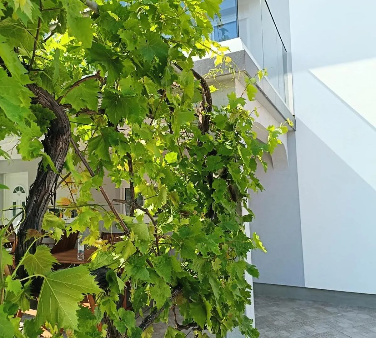 Apartments Rocky Vir Croatia
