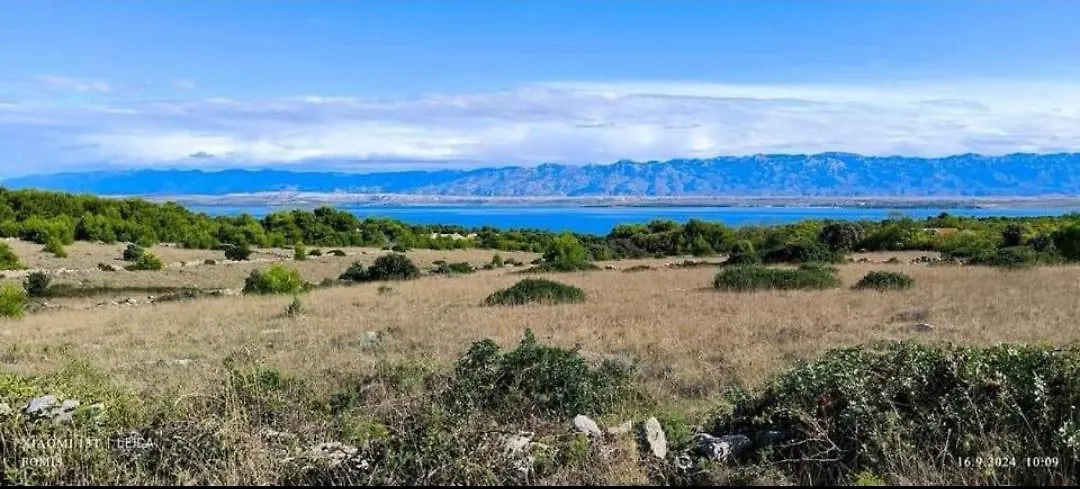 Apartments Rocky Vir Croatia